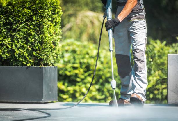 Best Roof Cleaning and Mildew Removal in Dobson, NC