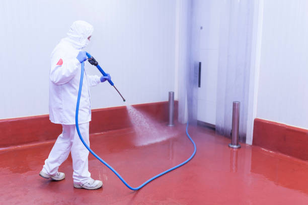 Best Sidewalk and Walkway Pressure Cleaning in Dobson, NC